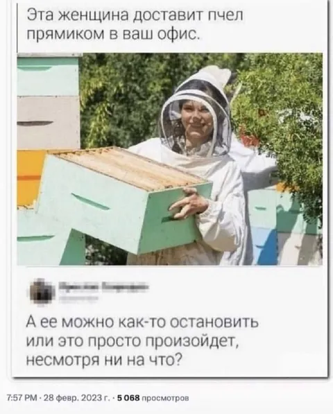 Пчёлы прямиком в офис