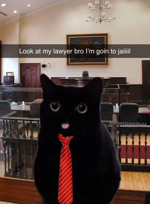 Cat Going to Jail