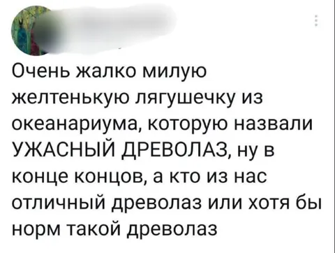 Ужасный древолаз из океанариума