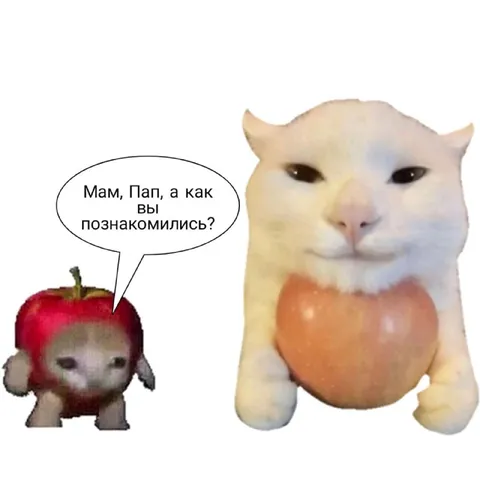 Мам, пап, а как вы познакомились?