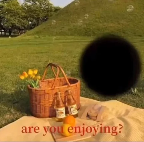 Are You Enjoying the Picnic?
