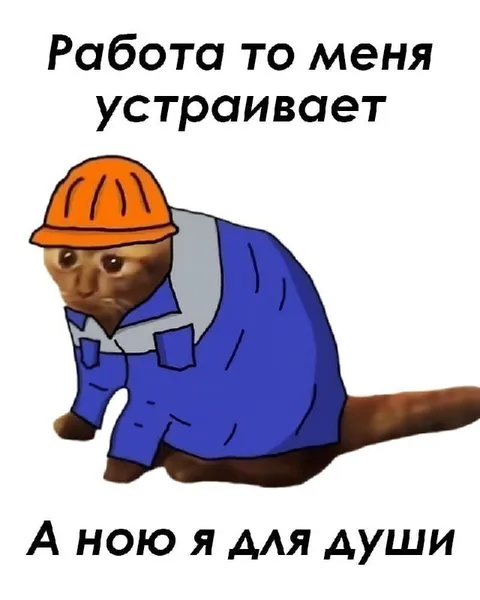 Работа меня устраивает, ною
