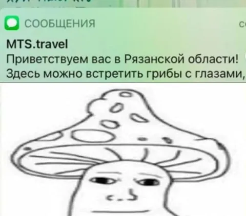 Грибы с глазами в Рязанской области
