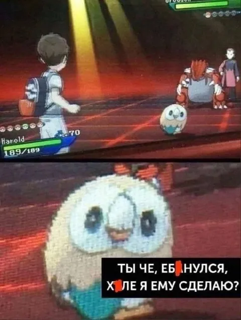 Ты че, ебнулся?