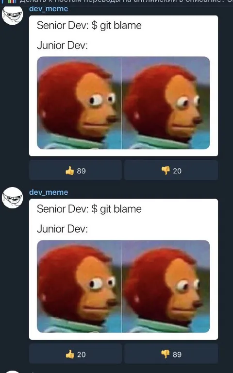 Senior Dev Blames Junior Dev