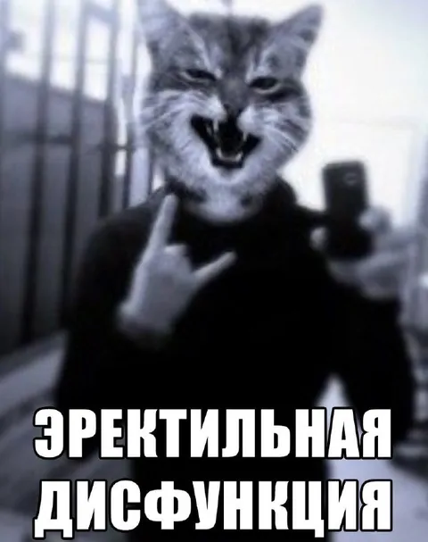 Эректильная дисфункция у кота