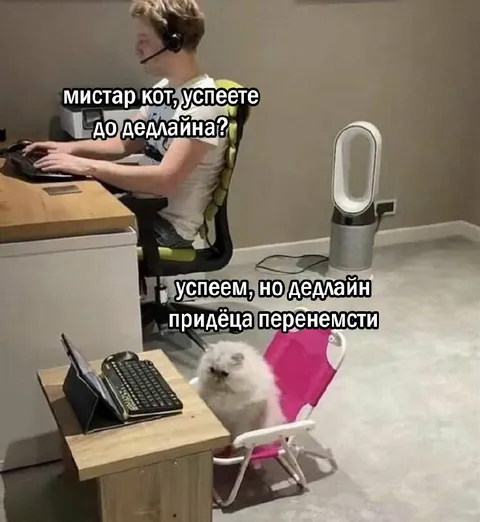 Кот переносит дедлайн