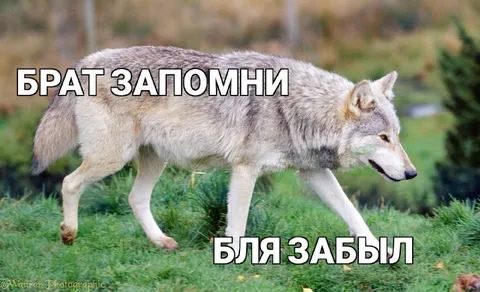 Брат запомни, бля забыл