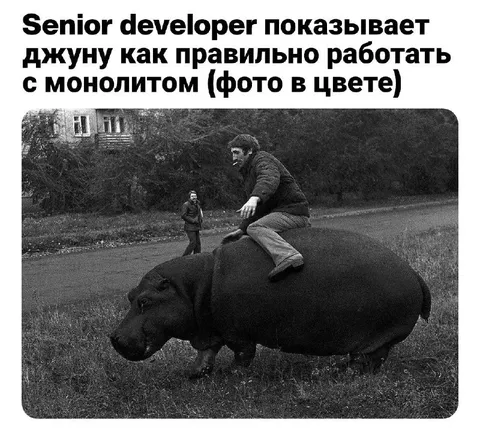 Старший разработчик и монолит