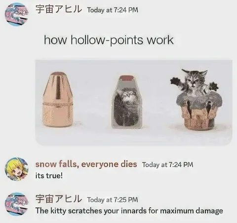 How Hollow Points Work