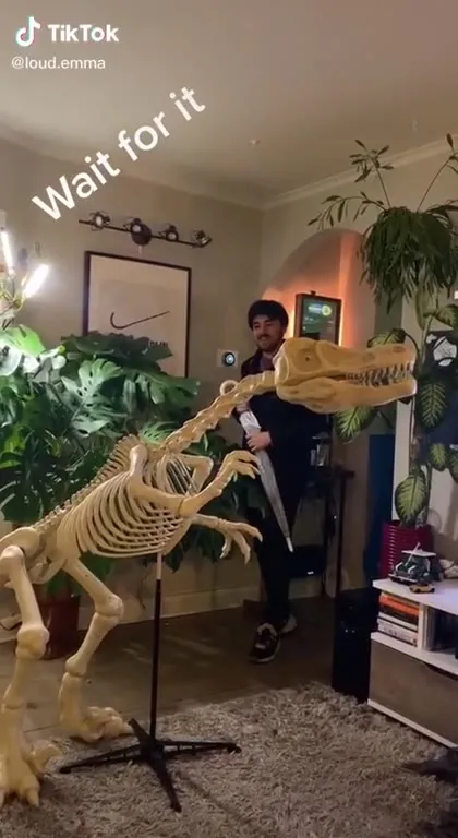 Dinosaur Wants the Cat