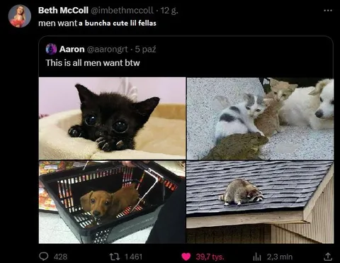 Men Want Cute Little Guys