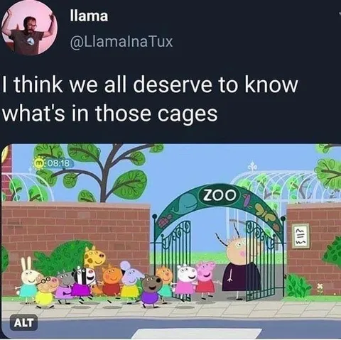 What’s Inside Those Cages