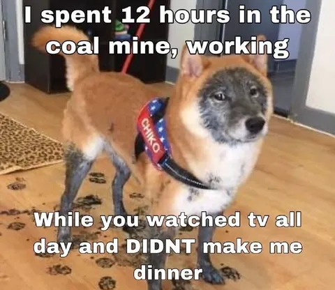 Dog Worked in the Coal Mine