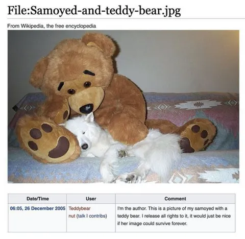 Samoyed and Teddy Bear