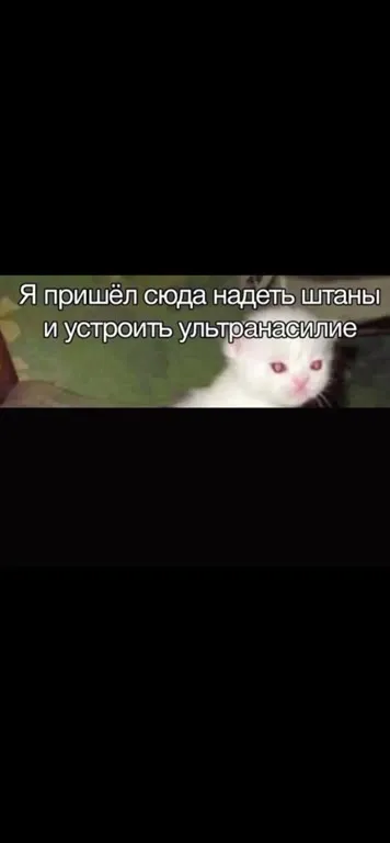 Кот пришёл за штанами