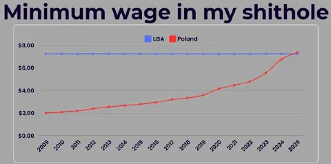 Minimum Wage in My Shithole
