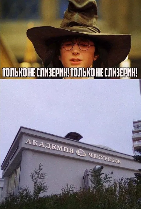 Только не Слизерин!