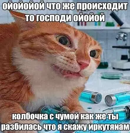 Кот разбил пробирку с чумой