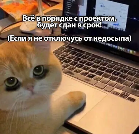 Всё в порядке с проектом