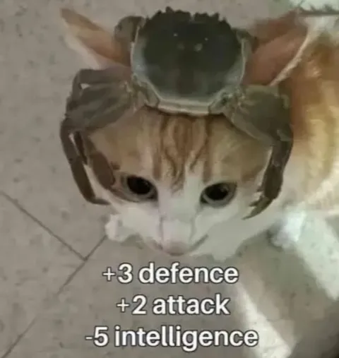 Cat Armor Stat Debuff