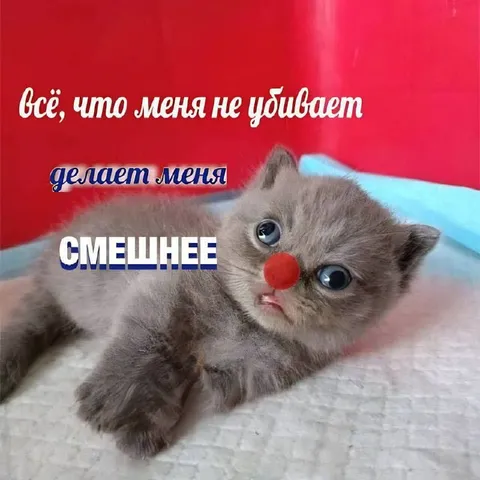 Всё, что меня не убивает