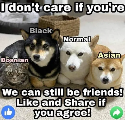 Dogs Of Different Backgrounds