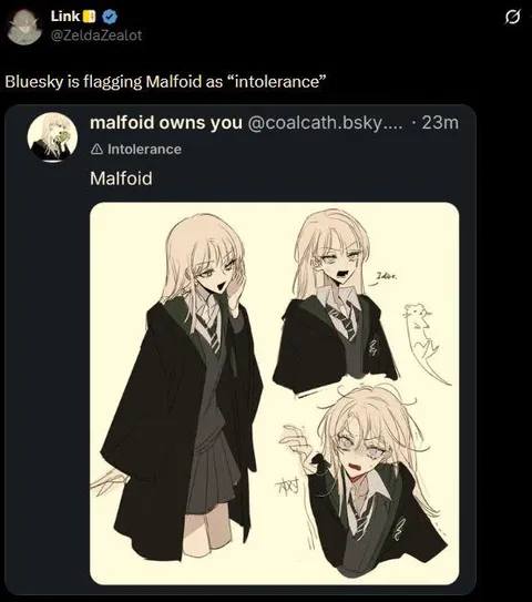 Bluesky Flags Malfoid for Intolerance