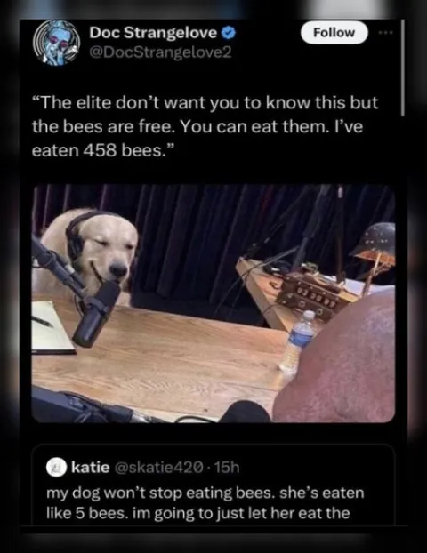 Dog Eating Bees