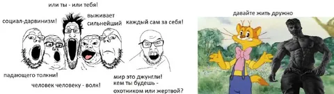 Или ты — или тебя