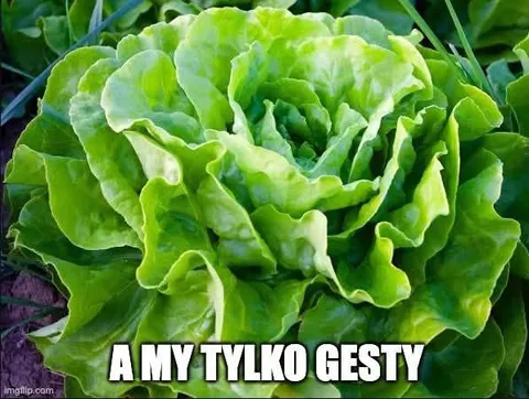 A my tylko gesty