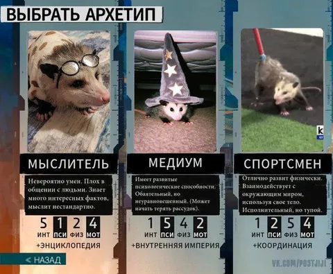 Выбрать архетип: опоссумы