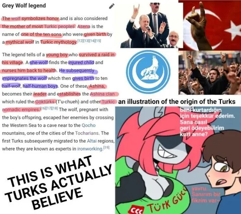 Turks Believe the Grey Wolf Legend