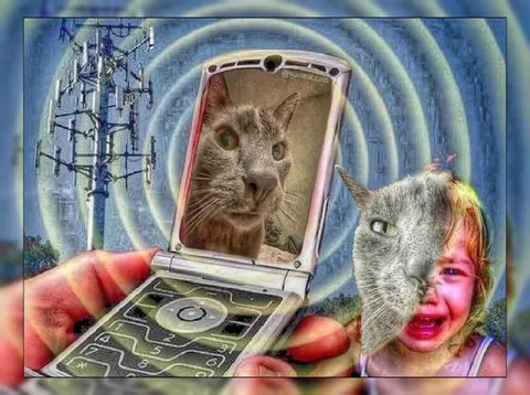 Кот звонит плачущему ребёнку