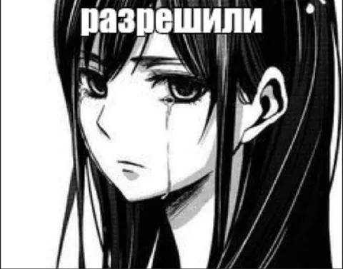 Когда наконец разрешили