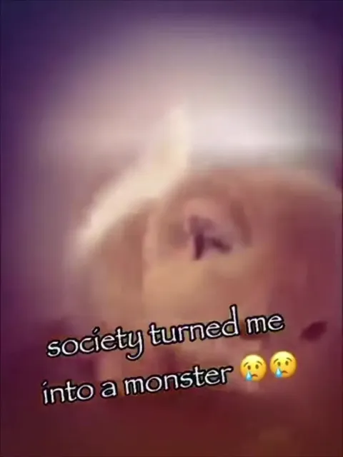 Society Turned Me Into a Monster