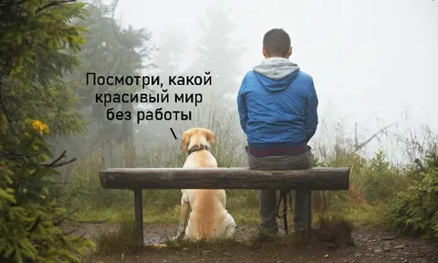 Красивый мир без работы