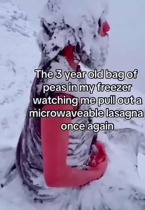 Three-Year-Old Peas Watching Lasagna