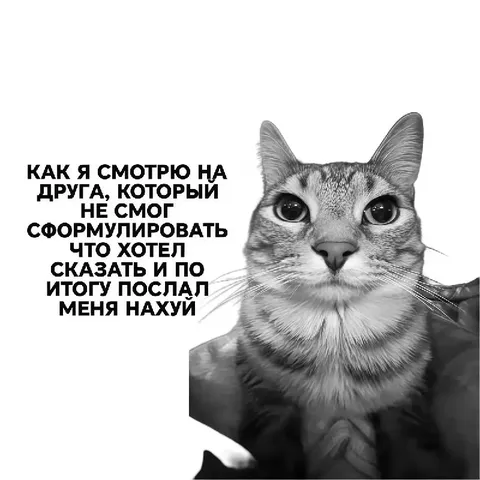 Когда не смог сформулировать мысль