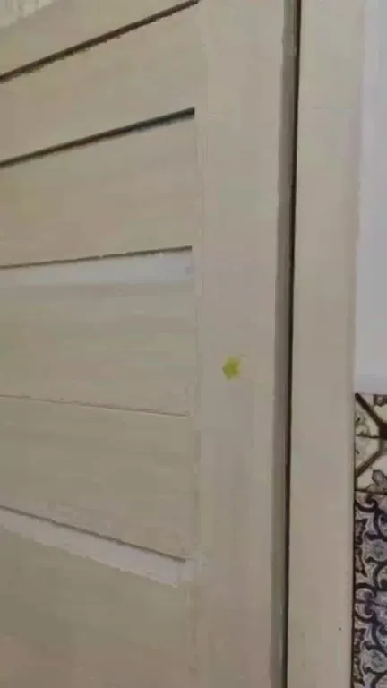 The Calm Orange Cat Escapes