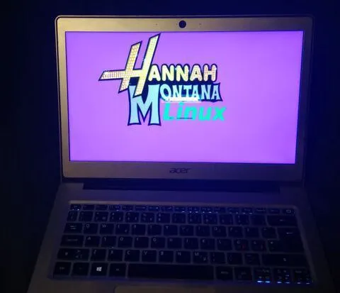 Hannah Montana Linux