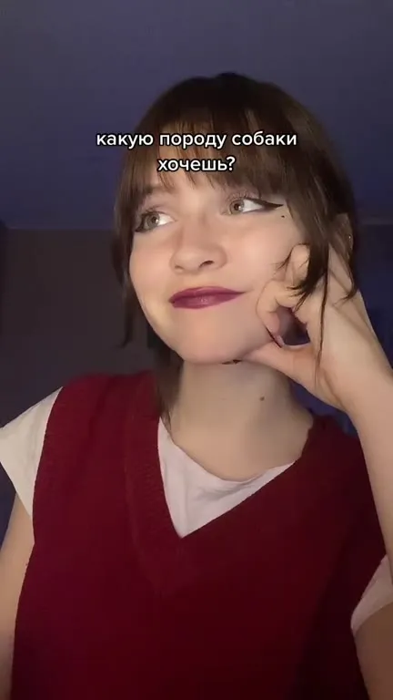 Какую породу собаки хочешь?