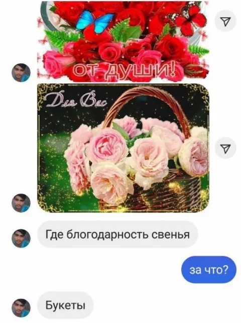 Где благодарность, свенья?