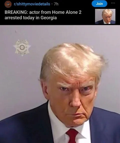Home Alone 2 Actor Arrested