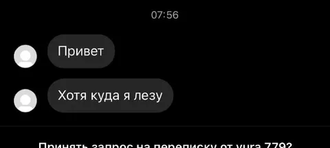 Хотя куда я лезу