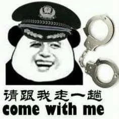 请跟我走一趟表情包