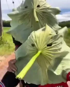 Люди с лицами из листьев