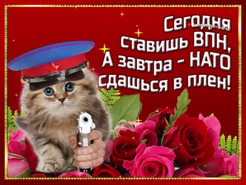 Сегодня ставишь ВПН, завтра НАТО