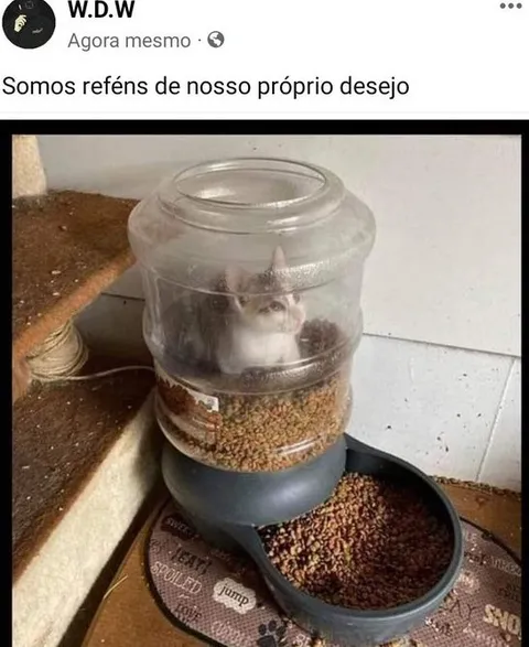 Reféns do próprio desejo
