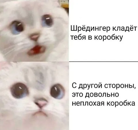 Шрёдингер кладёт тебя в коробку